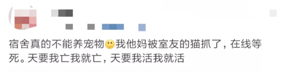 那些年舍友养过的奇葩宠物,你们身边的人都养什么奇怪的宠物