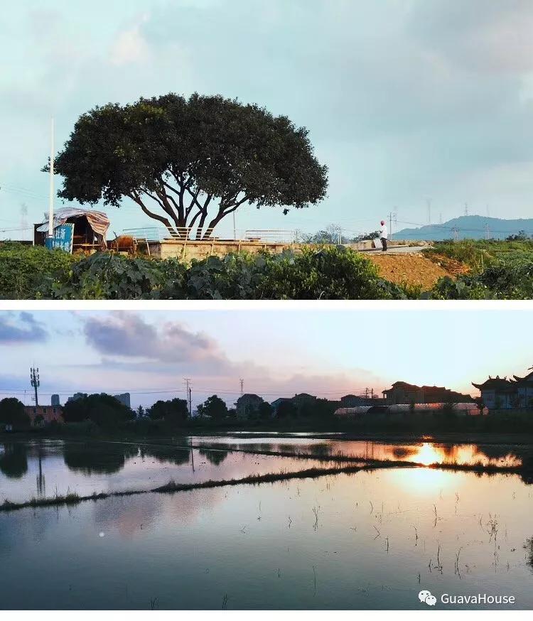 探店民宿普通房间,野风艺栈轰趴主题民宿