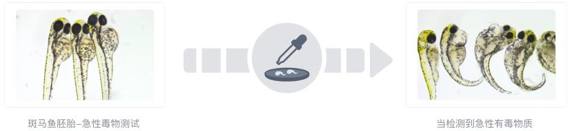 狗粮猫粮315打假榜单哪个好点,狗粮315打假榜单