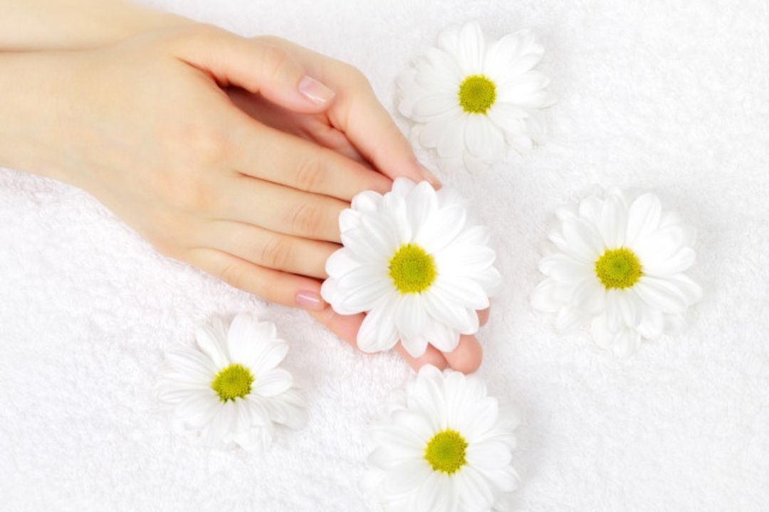 父亲欠的钱向他儿女要怎么要,父亲欠人钱找上我了我该怎么回复