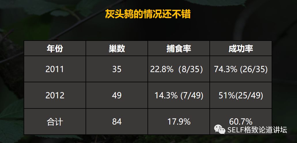 科学家如何观察植物,鸟类的研究方法