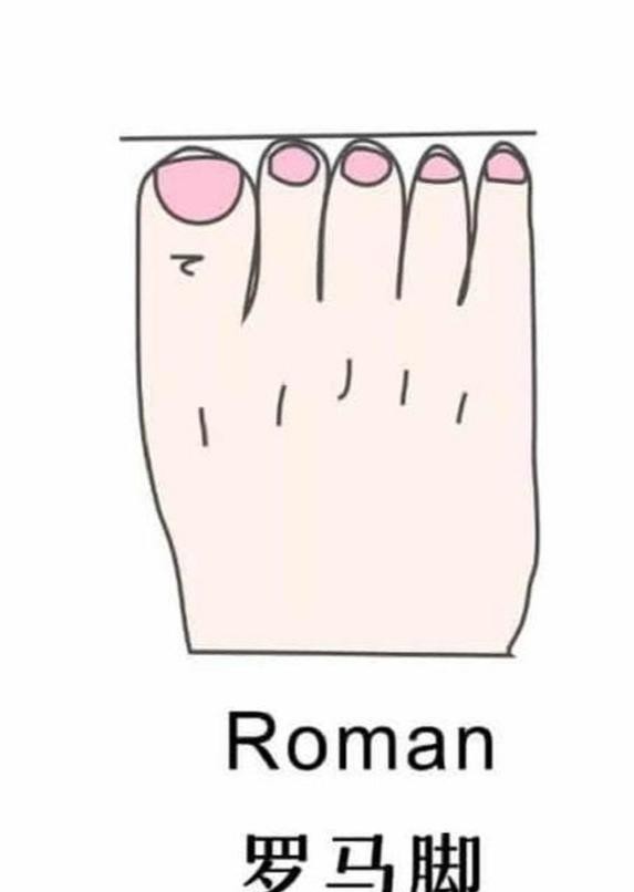 女性脚型有哪几种,女性脚型有哪些