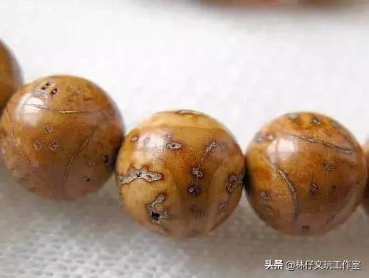 文玩菩提各种盘玩变化,文玩菩提的种类图解