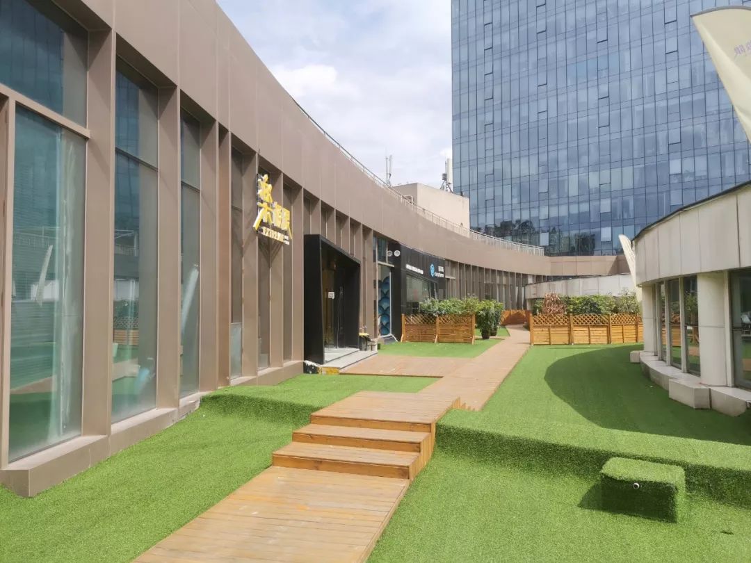 平衡车一个烧钱的运动 (实体店推荐的平衡车)