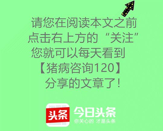 兽医养牛知识大全,兽医养猪用药大全