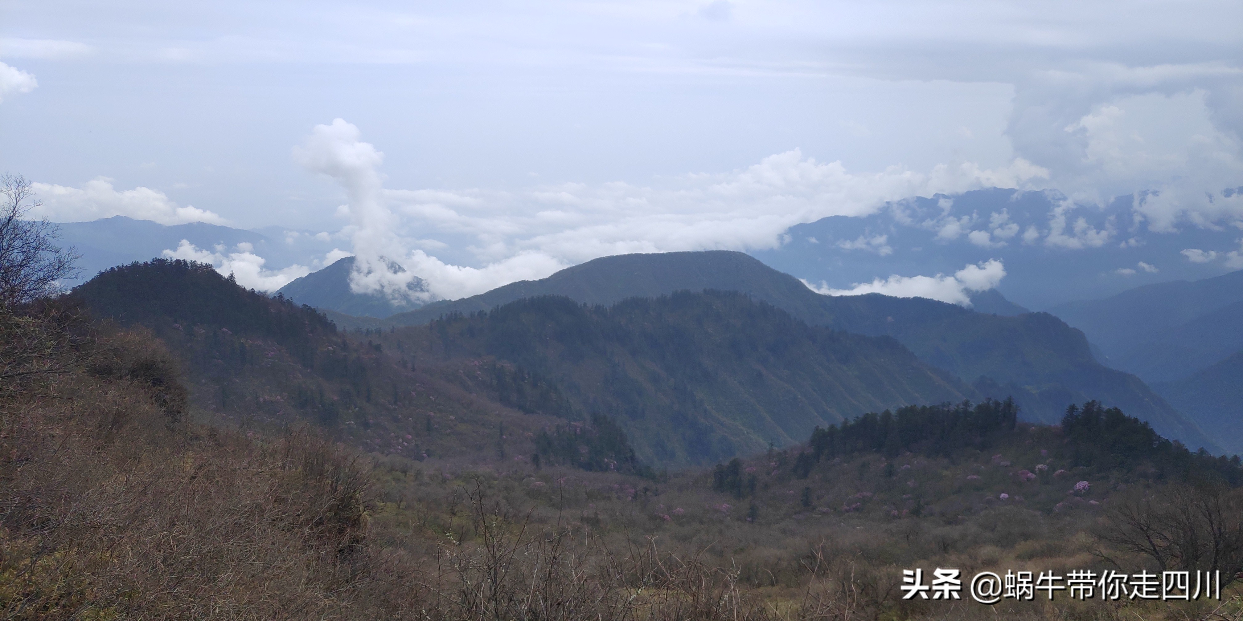 成都去西岭雪山两天一夜旅游团,成都出发雪山旅游