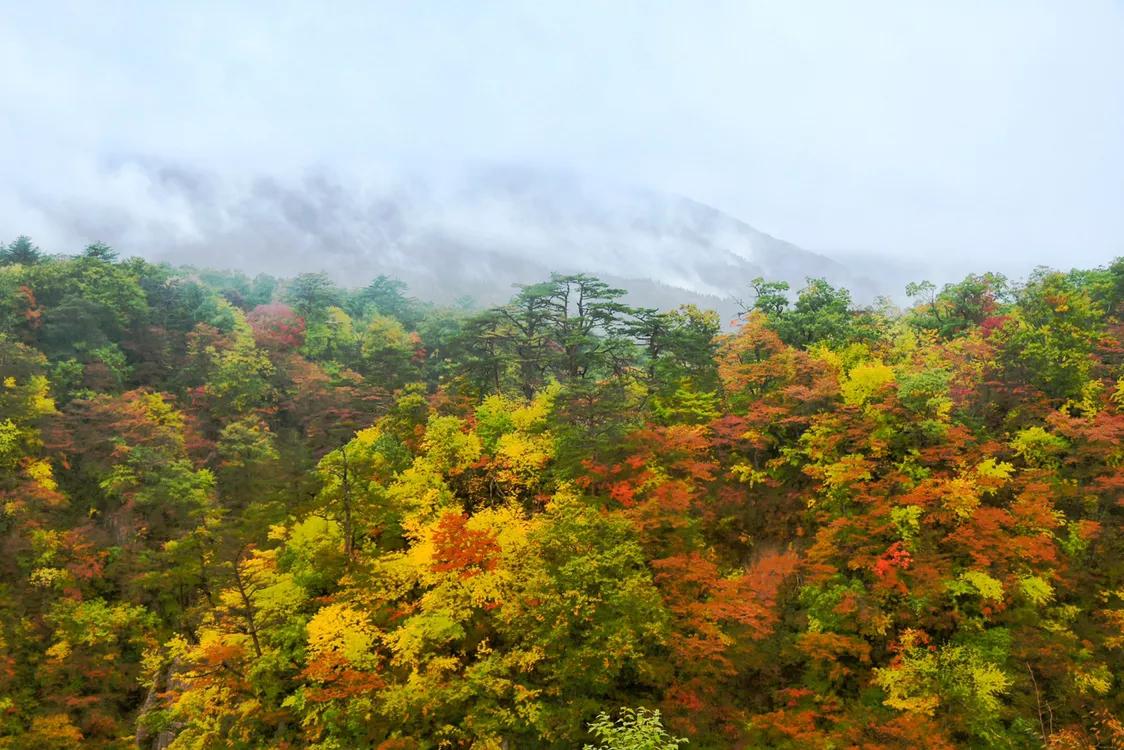 第三十七回,第三十七回主要内容