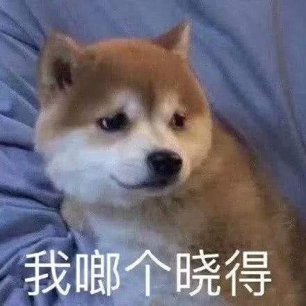 江疏影五音不全吗,江疏影外形条件吊打一众小花