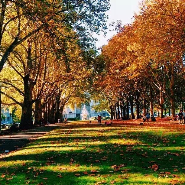 恭喜在最美四月捡了一个小时！夏令时将结束！和中国时差变2小时