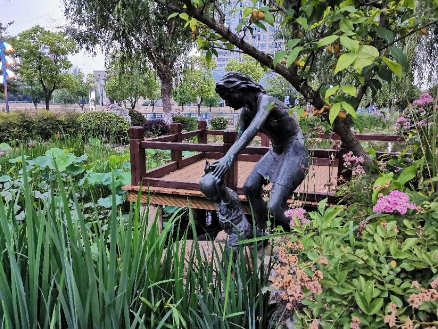 南京天印湖公园,江宁区大学城天印湖公园