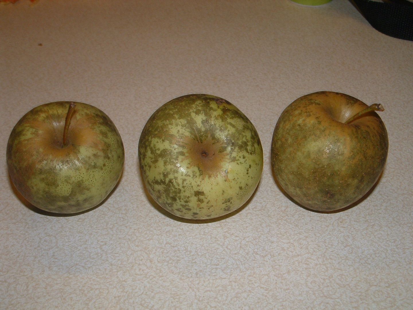 苹果拍照有黑斑最简单的修复方法,苹果成熟期黑斑和红点是什么原因