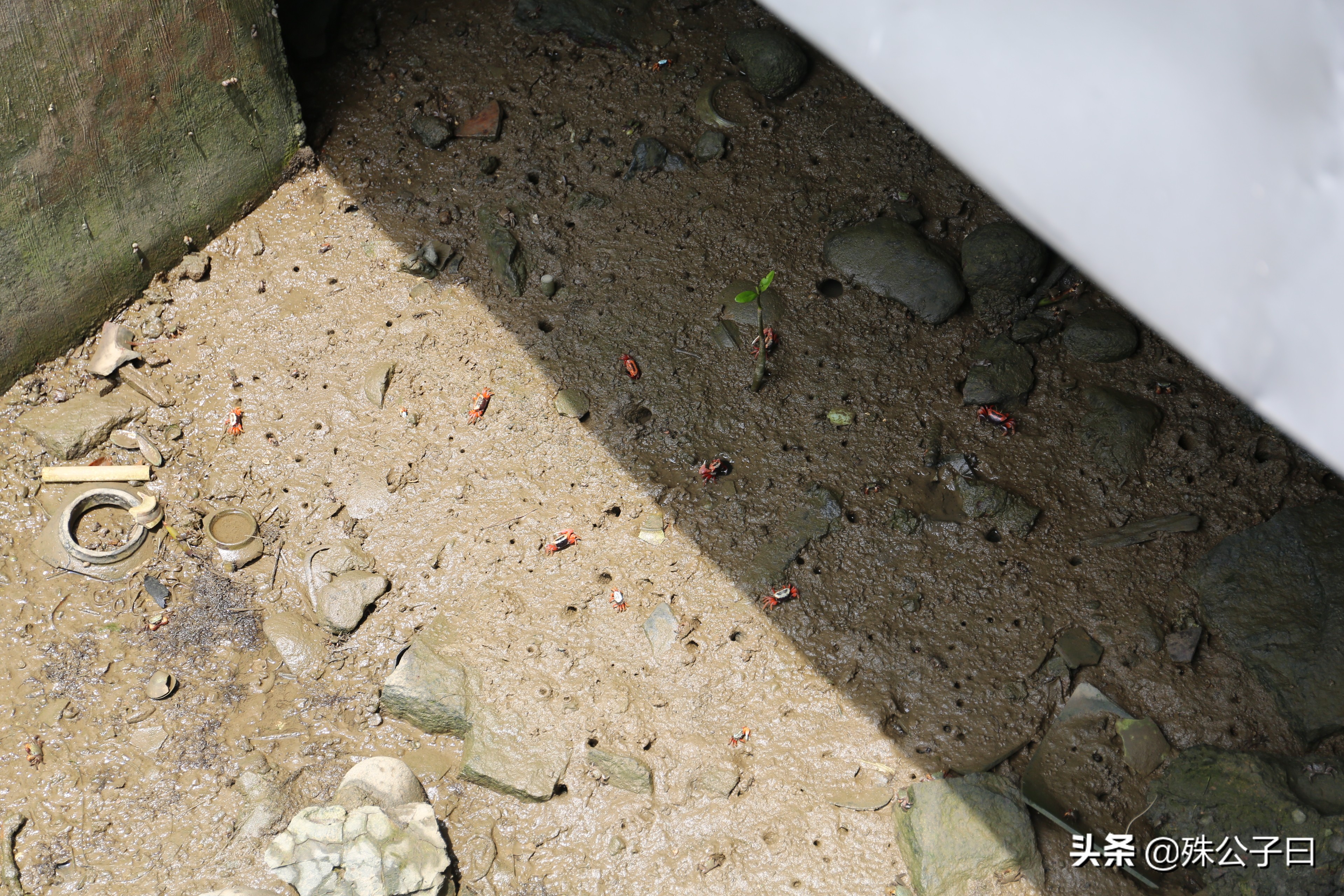 香港最值得去的离岛,香港离岛最好的地方