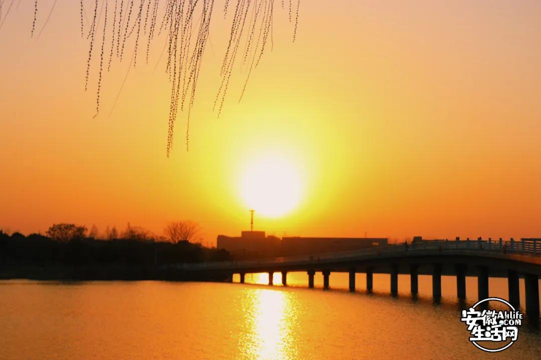 合肥最美的春天景点,合肥春天有哪些好玩的景点