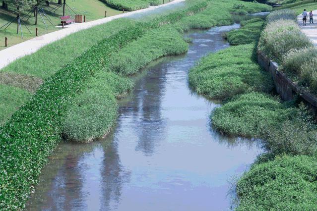 深圳好玩景点地铁路线,深圳好玩免费景点地铁直达的