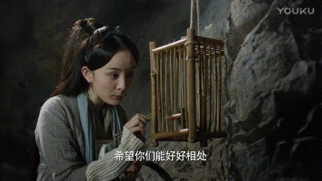 北笼的盘法视频,北笼养什么鸟好