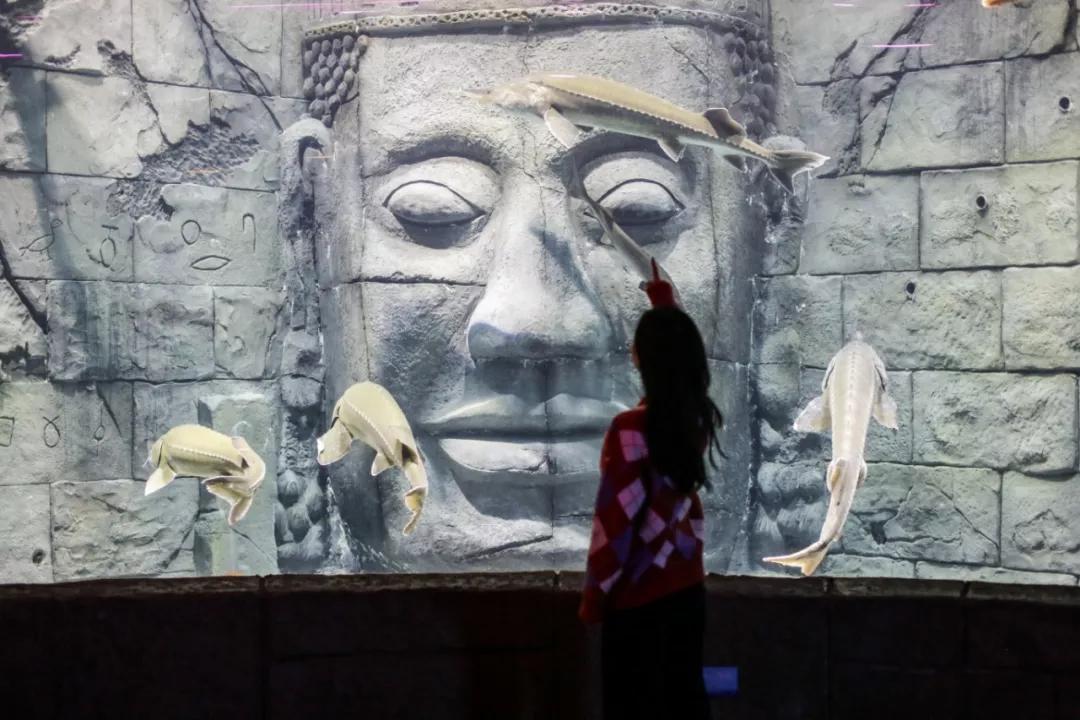 巴南又能耍又有吃的,重庆有什么美食巴南区