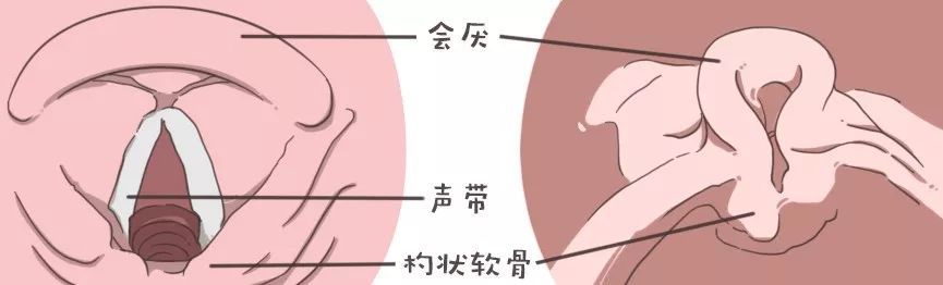 宝宝嗓子呼噜呼噜的但是不咳嗽,宝宝嗓子呼噜不一定有痰