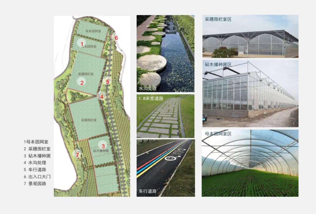 井研乡镇杂交柑橘栽培管理技术,井研柑橘项目的具体做法有哪些