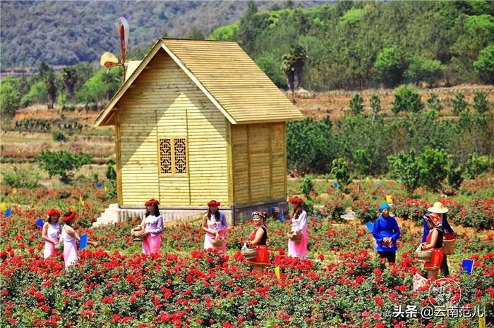 昆明周边五一去哪里,五一昆明周边搭帐篷