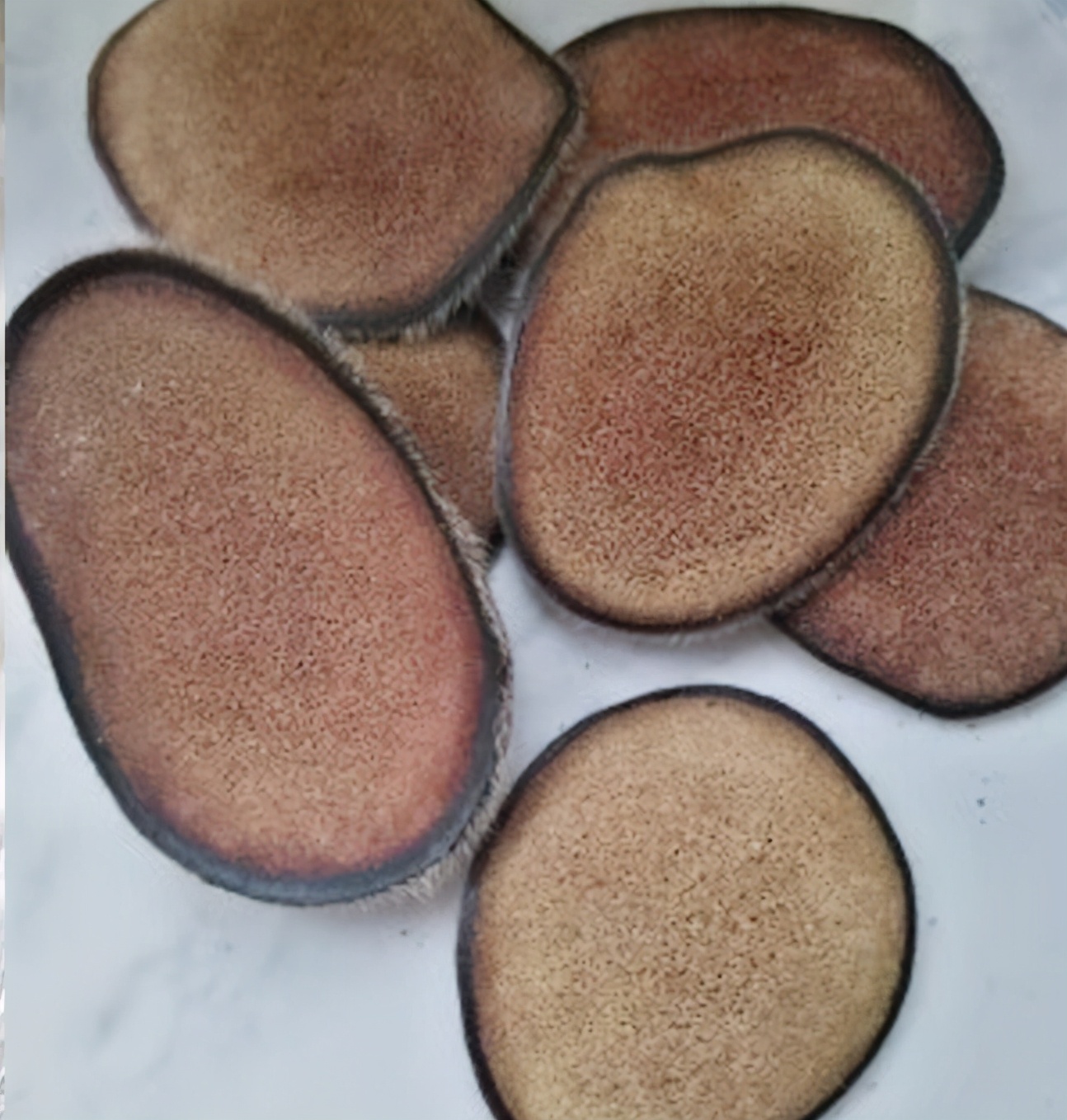 鹿茸片你买对了吗?学习一下再下手吧