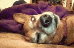 山海经中以乳为目以脐为口的怪物,山海经搞笑图片