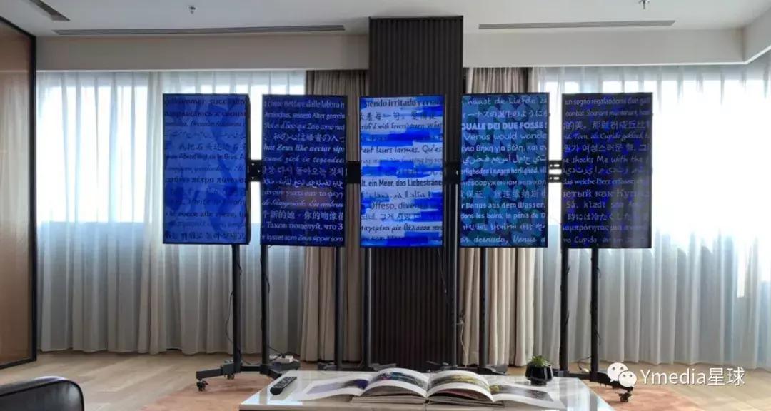 Y采访了艺术家刘诗园感觉自己采访到了漫威英雄