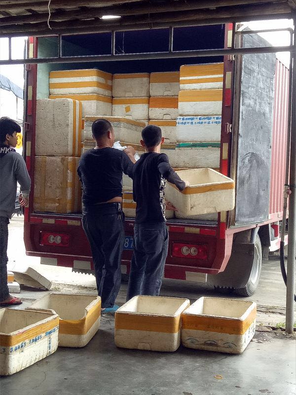 竹鼠产业化养殖及疾病防治研究