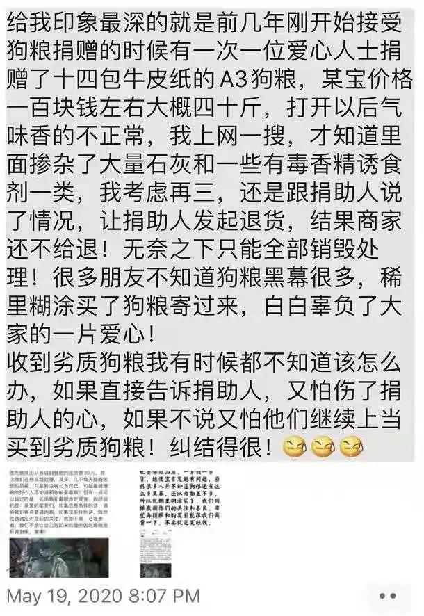 救助流浪猫的都是哪些人,救助了流浪猫没出钱被骂了