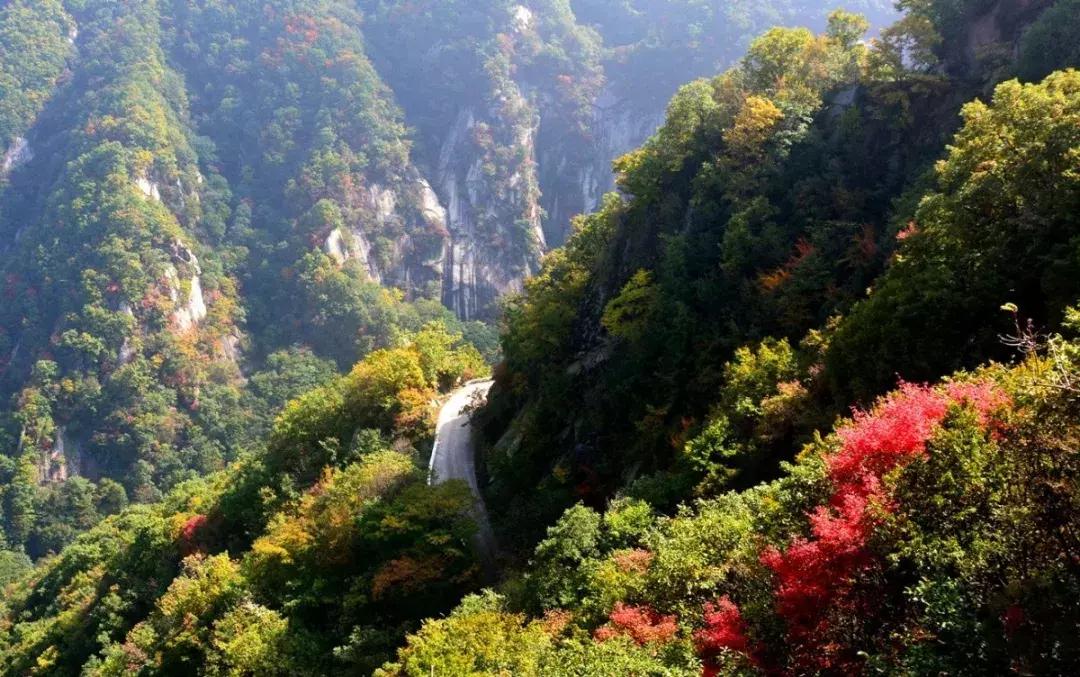 河南省春节旅游免门票景区 (春节河南6大景区半价)