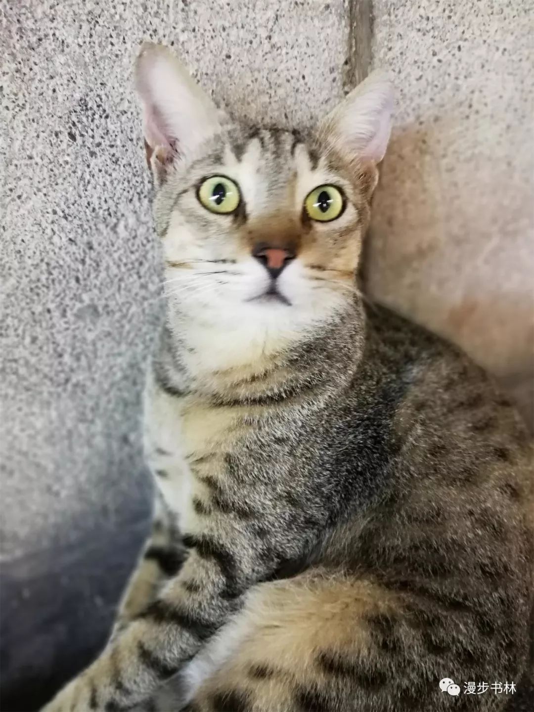 迪拜穷游攻略海边景点,迪拜穷游一天