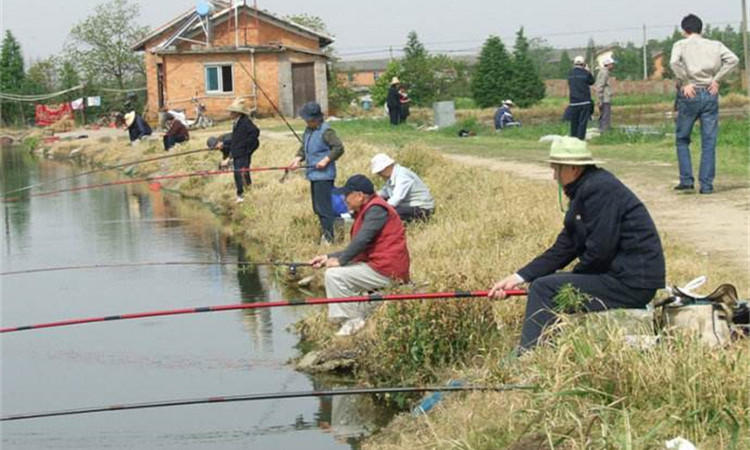 鱼护怎么防止老化,好一点的鱼护有必要吗