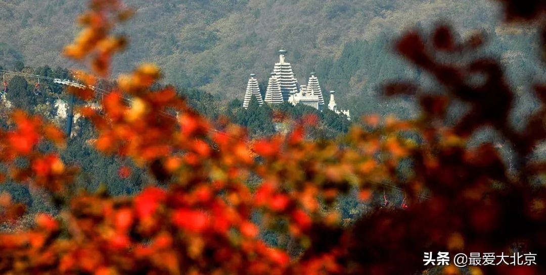 香山周末好去处,香山夏天去好玩吗