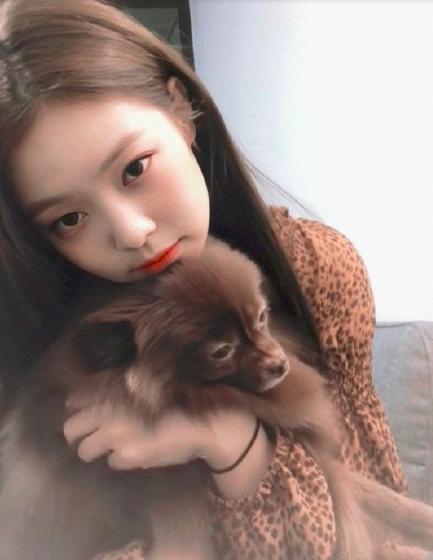 jennie和狗狗的日常,jennie有多宠狗狗