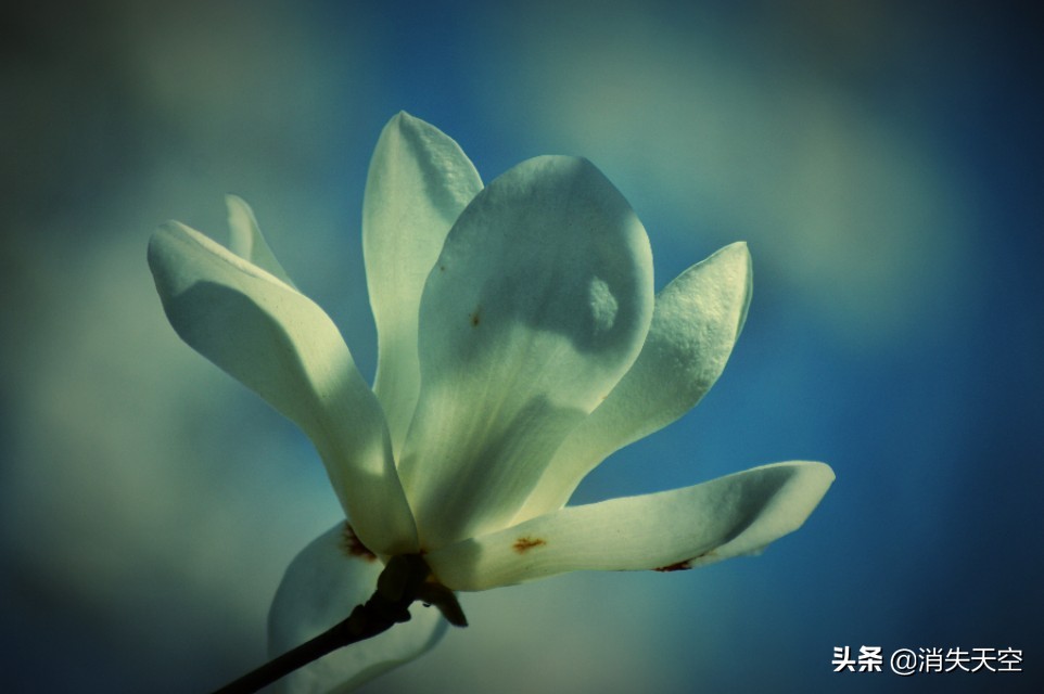 合肥杏花公园,合肥杏花公园相亲每周时间安排