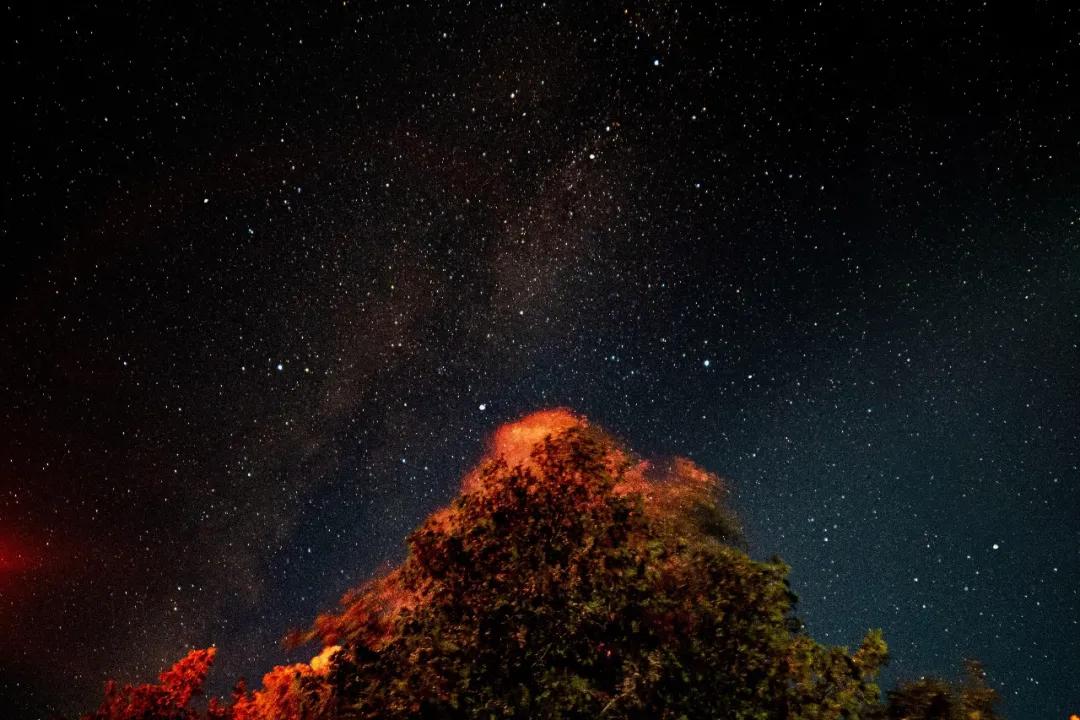 2024年水逆都在哪些星象,10月份星象播报