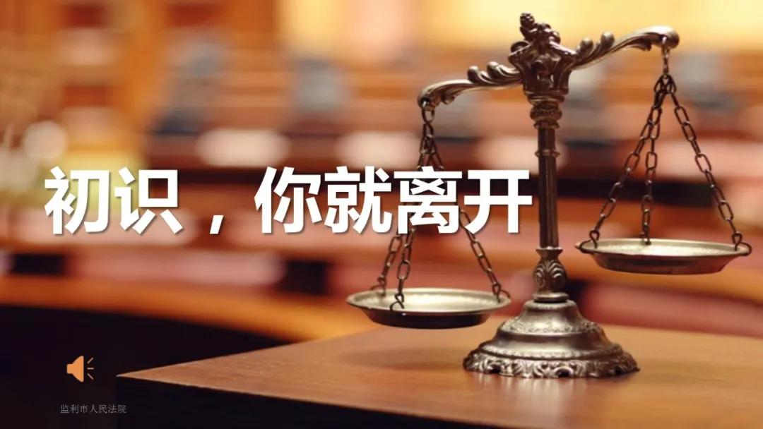 陈艳红合肥,陈艳红公安