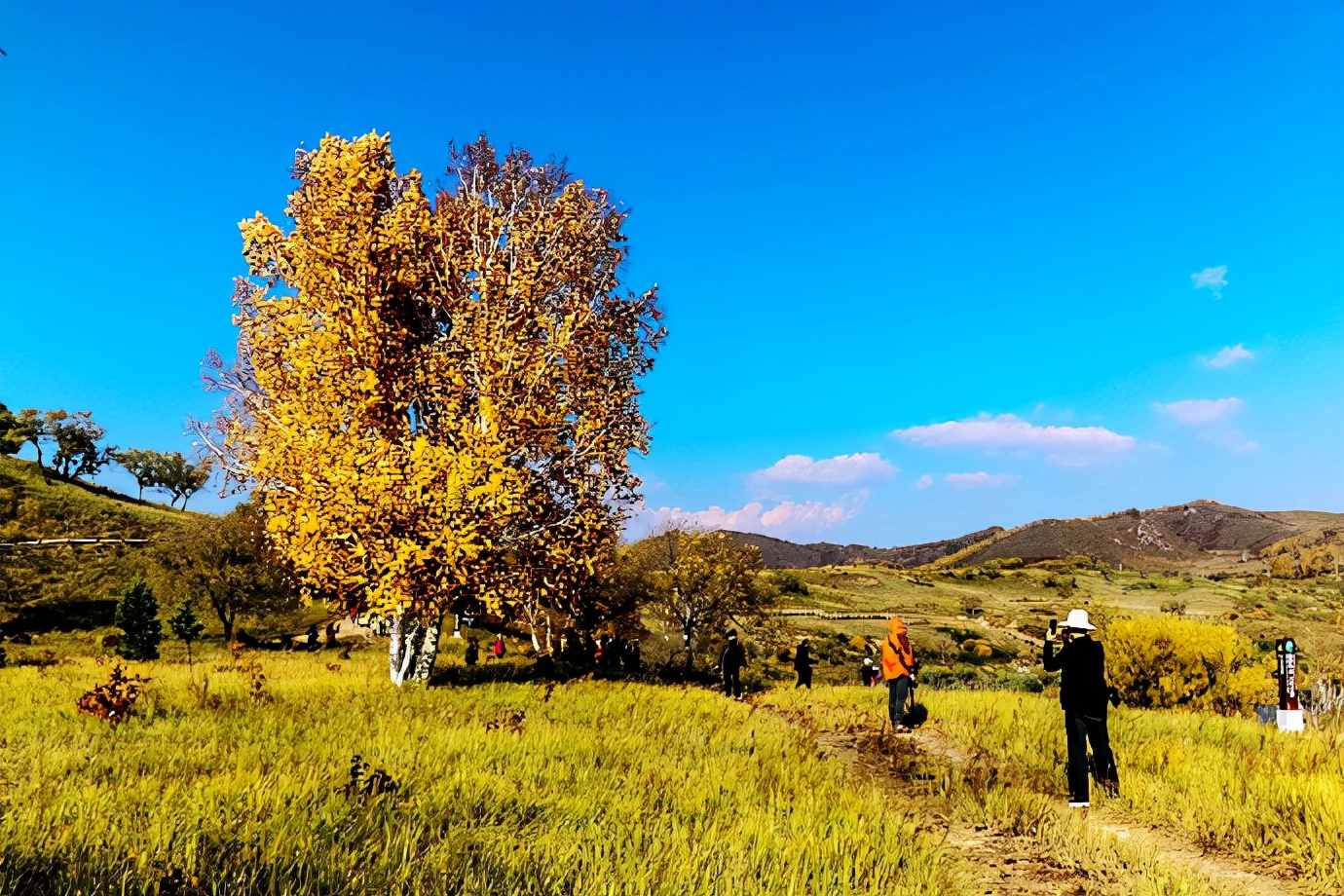 行摄美景,行摄塞外美景