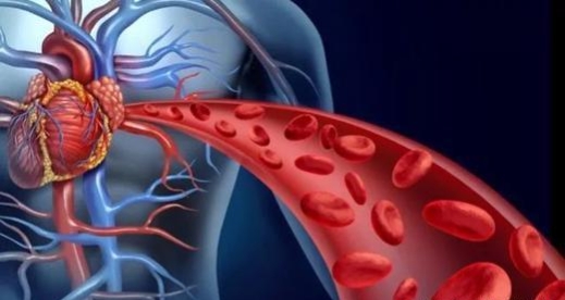 健身的时候喝运动饮料,运动饮料健身时如何饮用