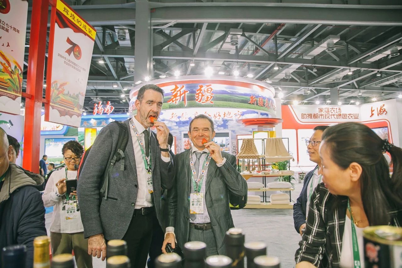 中国草莓第一县在东港哪个城市,东港市支柱产业草莓