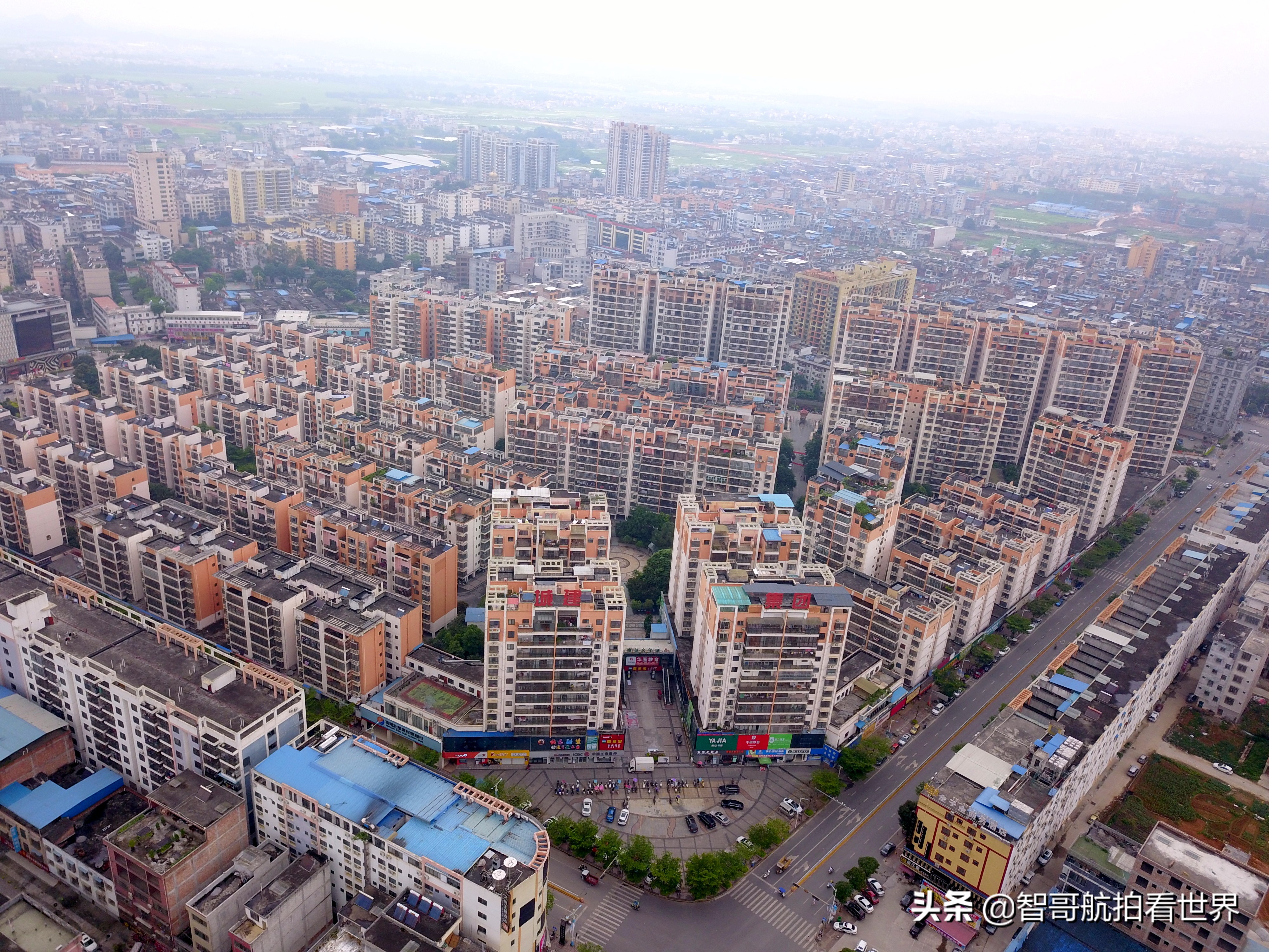 广西宾阳炮龙乡视频,宾阳炮龙之乡新闻