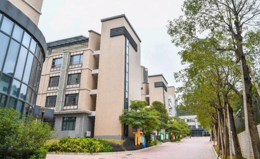 长岭居小学升初中,长岭居小学在黄埔区的排名