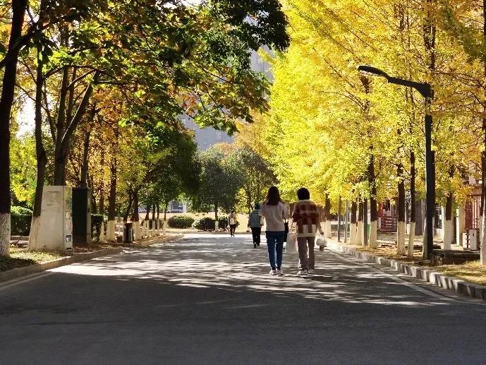 涓滃崡澶у鎴愯搐瀛﹂櫌,涓滃崡澶у鎴愯搐瀛﹂櫌鐧剧