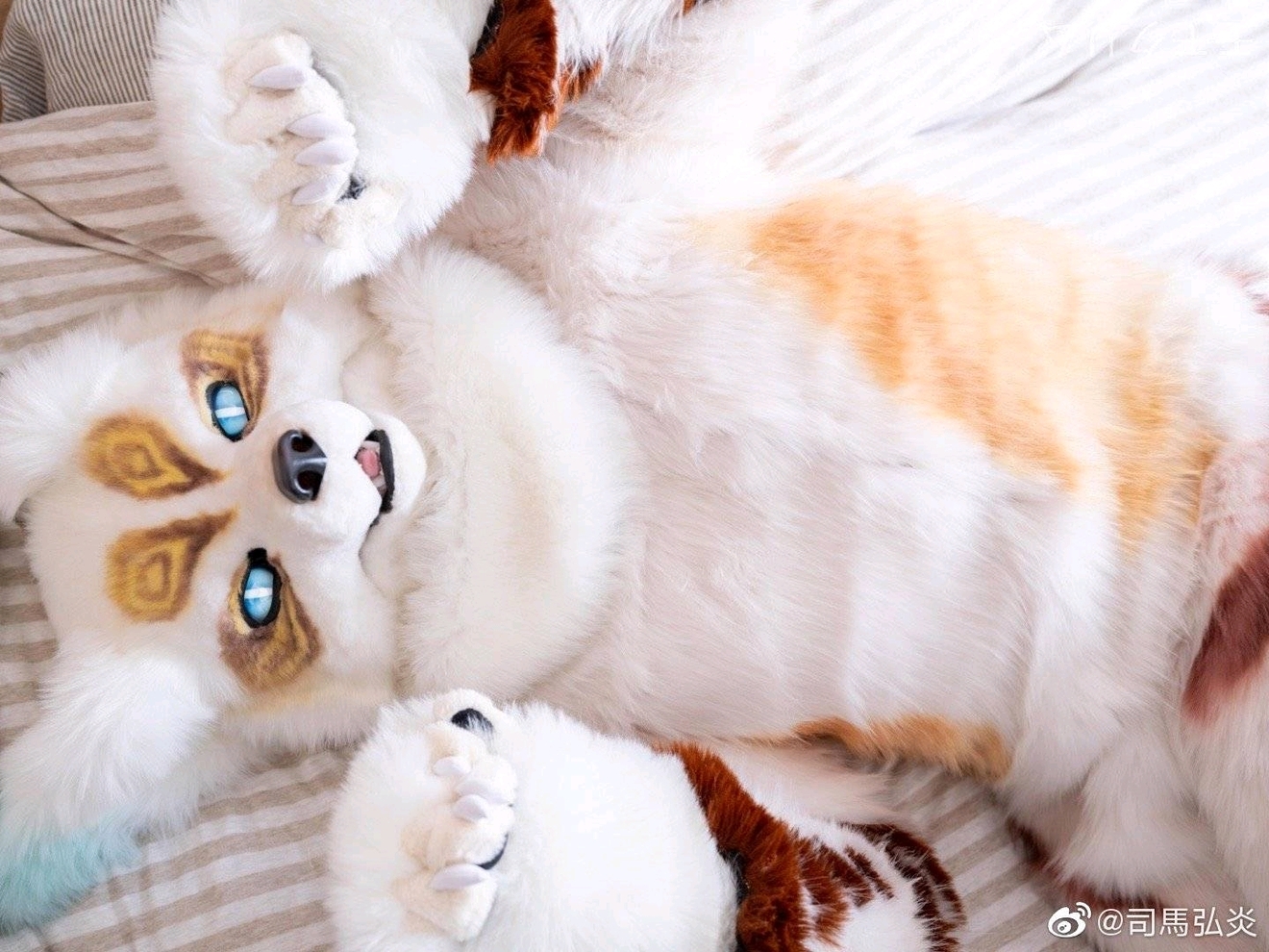 杂图系列（*男猛**系列：兽人furry第一弹）#1