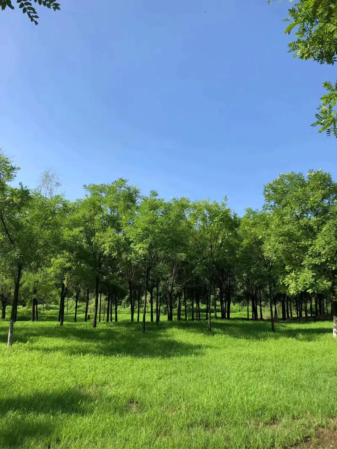 （原创）遵化醉美健身休闲地——沙河