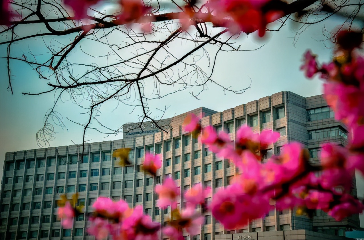 辽宁双一流评选中国刑事警察学院,辽宁985和211双一流名单