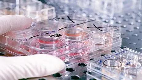 构建全国一流生物医药产业高地！凡拓再造产业园标杆展馆