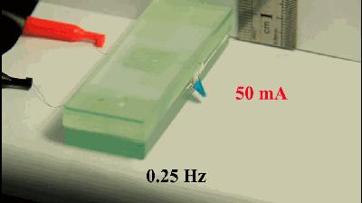 彭慧胜：高能纤维制成的衣服有多厉害？
