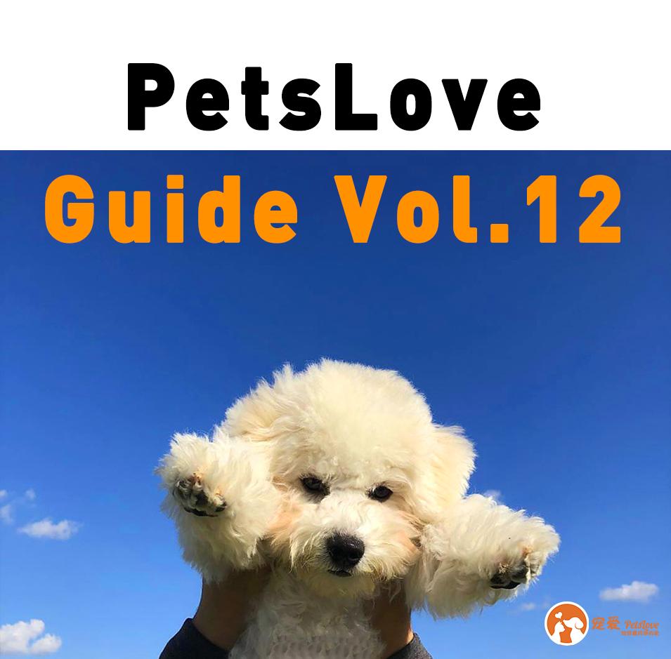 柯基幼犬选择什么狗粮,高性价比狗粮测评狗粮选择攻略