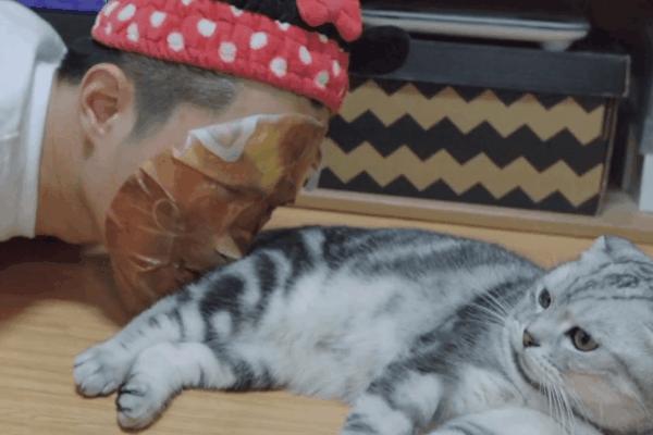 猫咪得了糖尿病,怎么办?给它喝点“糖盐水”