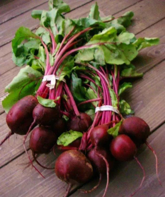 几种养在一起可以互相促进生长的蔬菜,还能很好地减少病虫害